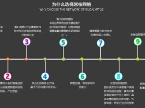 首选深圳常桉网站建设 一站式企业网络解决方案专家