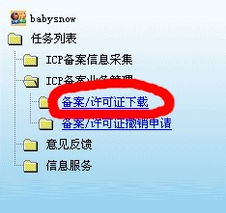 大连网站建设与网络推广一站式解决方案——大连新图闻科技