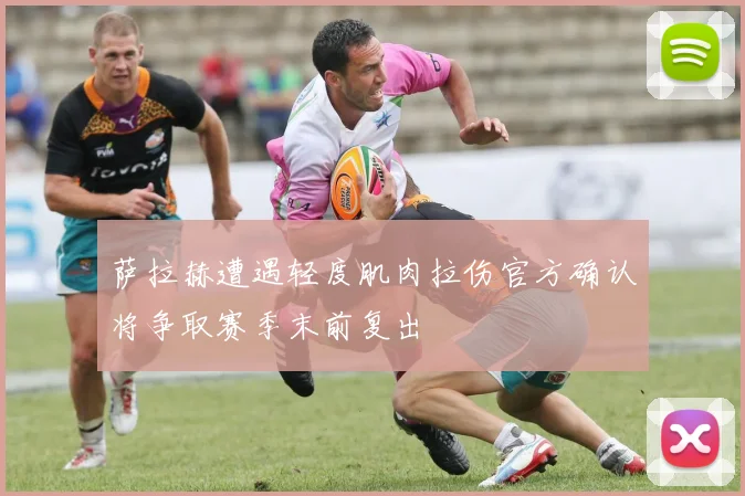 萨拉赫遭遇轻度肌肉拉伤官方确认将争取赛季末前复出